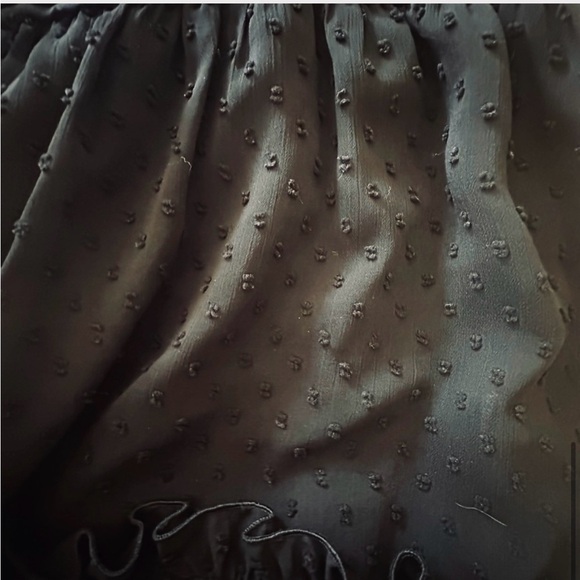 Zara Swiss Dot, Neck Ruffled, Sheer Sleeve, Mini Short Dress, Black, Size M - Picture 6 of 9